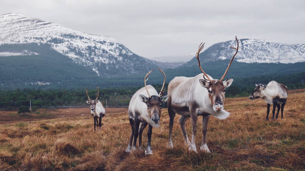 Vaihtoehtoinen teksti lorem ipsum