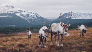 Vaihtoehtoinen teksti lorem ipsum